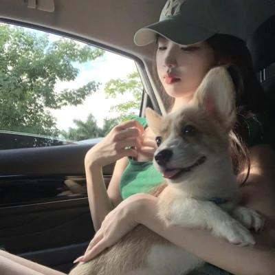 高清高质量女头