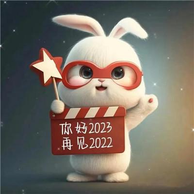 新年快乐图片2023头像 开心喜庆的兔年2023新年快乐头像