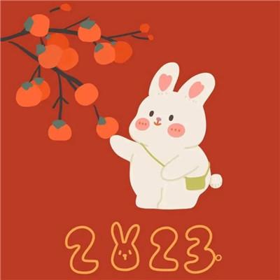 新年快乐图片2023头像 开心喜庆的兔年2023新年快乐头像