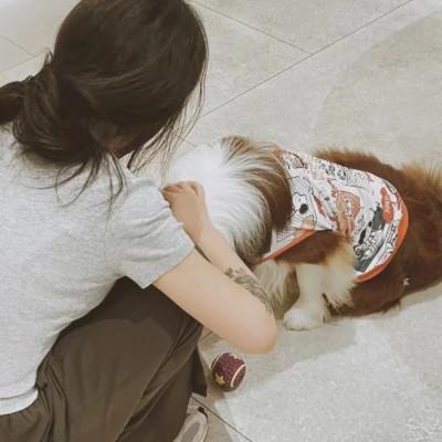 高清高质量女头