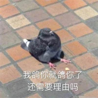 搞笑沙雕表情包头像图片