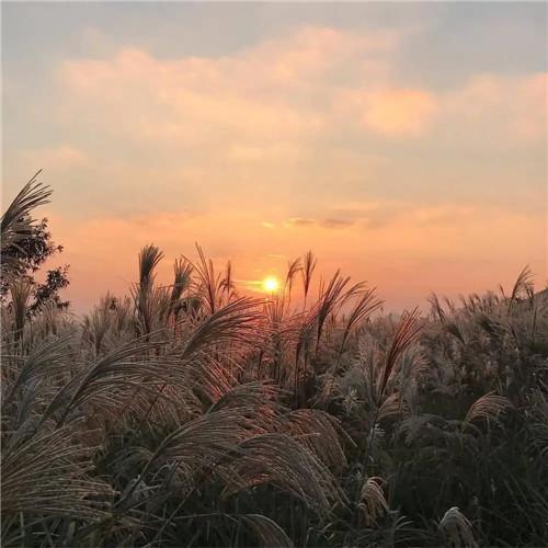 意境超美的温柔治愈系浪漫风景图片头像