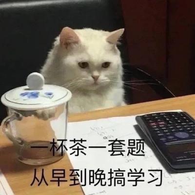 学习专用表情包图片头像