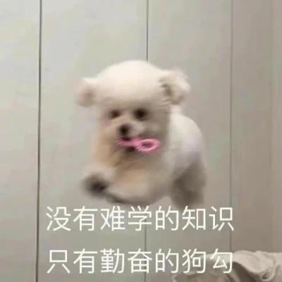 学习专用表情包图片头像