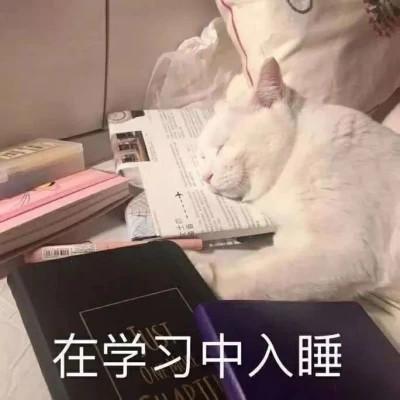 学习专用表情包图片头像