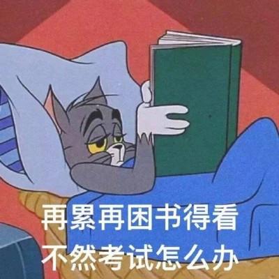 学习专用表情包图片头像