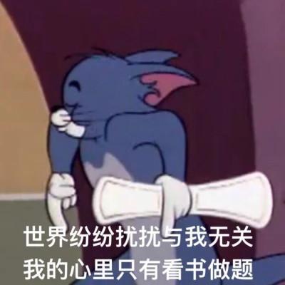 学习专用表情包图片头像