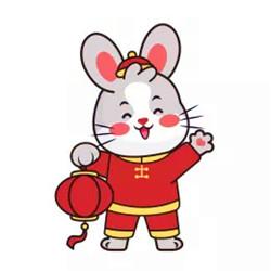 兔年本命年微信头像 精选好看的2023年本命年微信头像图片
