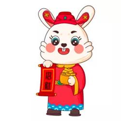 兔年本命年微信头像 精选好看的2023年本命年微信头像图片