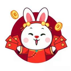 兔年本命年微信头像 精选好看的2023年本命年微信头像图片