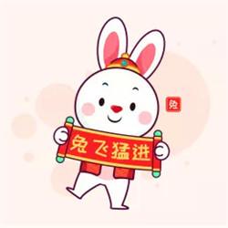 兔年本命年微信头像 精选好看的2023年本命年微信头像图片