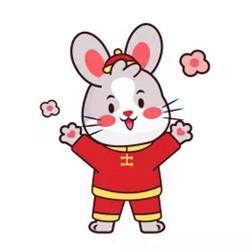 兔年本命年微信头像 精选好看的2023年本命年微信头像图片