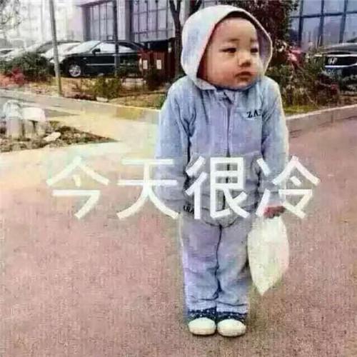 冷死我了图片可爱搞笑头像