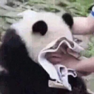 2023最新可爱头像图片高清下载