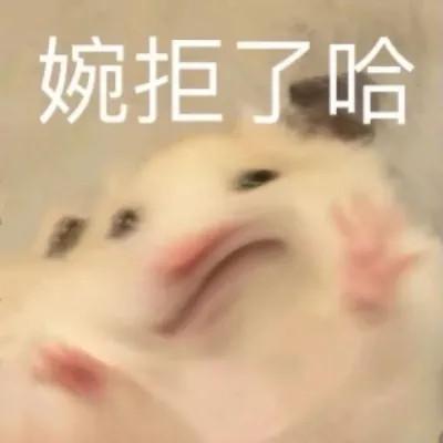 头像表情包图片可爱的高清