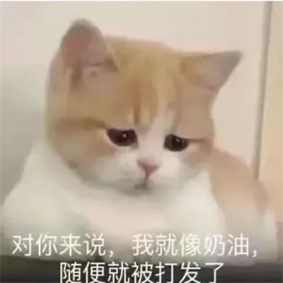 头像表情包图片可爱的高清