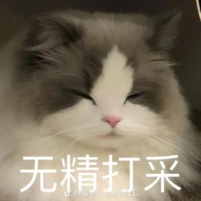 头像表情包图片可爱的高清