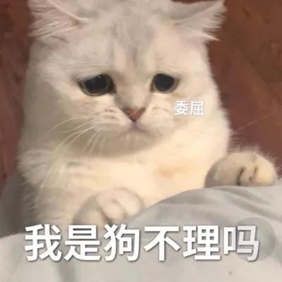 头像表情包图片可爱的高清