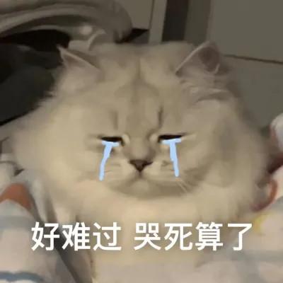 头像表情包图片可爱的高清