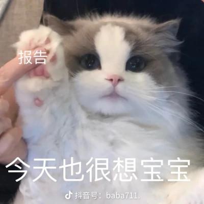 头像表情包图片可爱的高清