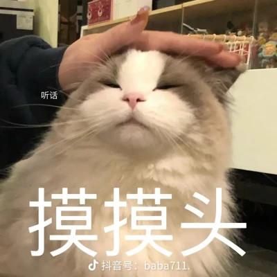 头像表情包图片可爱的高清