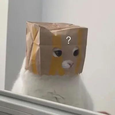 头像表情包图片可爱的高清