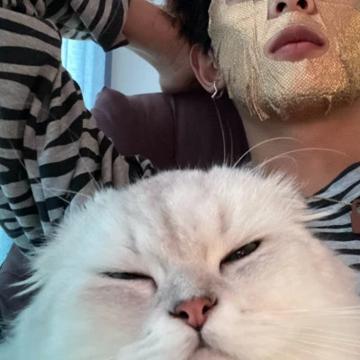 女朋友是宠物的情头