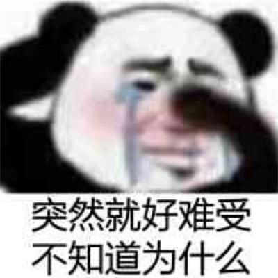 奇葩搞笑微信头像图片，气人爆笑！