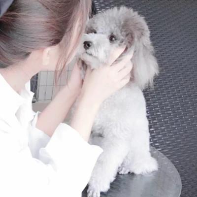 情侣头像宠物和主人