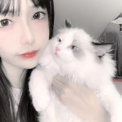 情侣头像宠物和主人