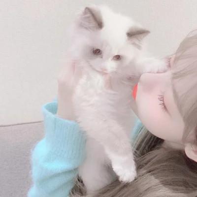 情侣头像宠物和主人