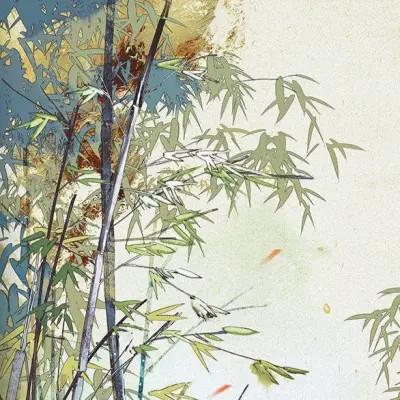 女头背景图和头像一套
