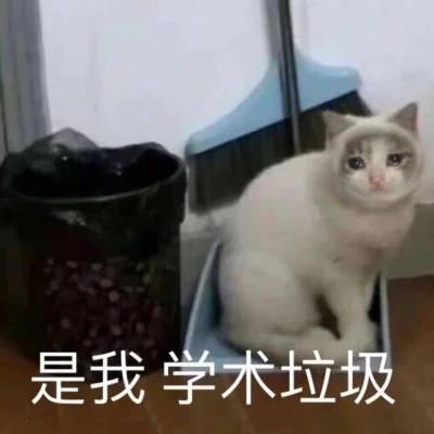 史上最全学习专用表情包头像图片