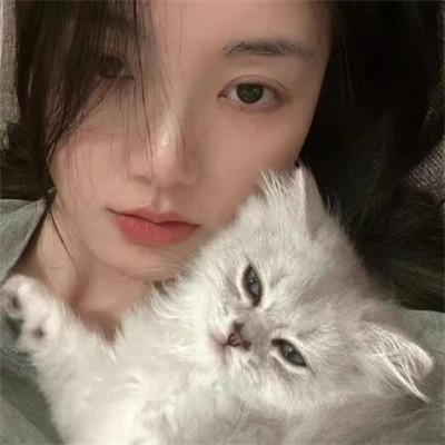 2023最新抱猫女头像好看图片