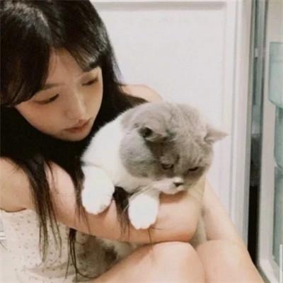 2023最新抱猫女头像好看图片