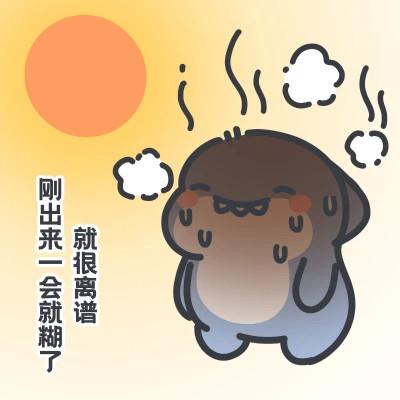 可爱肥肥鲨夏日表情包头像图片