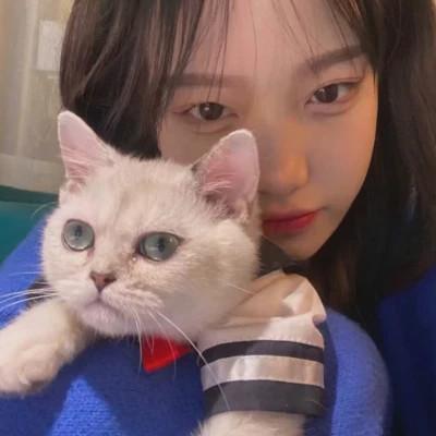 女生抱猫头像高清图片