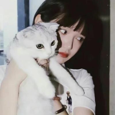 女生抱猫头像高清图片