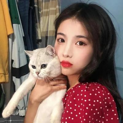 女生抱猫头像高清图片