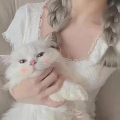 女生抱猫头像高清图片