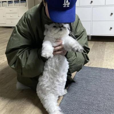 女生抱猫头像高清图片