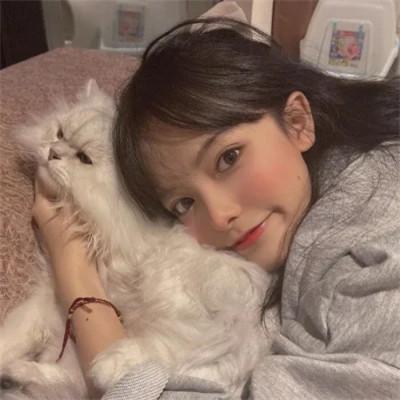 女生抱猫头像高清图片