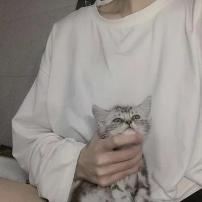 女生抱猫头像高清图片