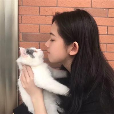 女生抱猫头像高清图片