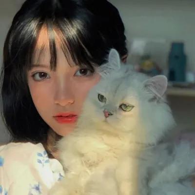 女生抱猫头像高清图片