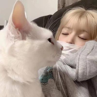 女生抱猫头像高清图片