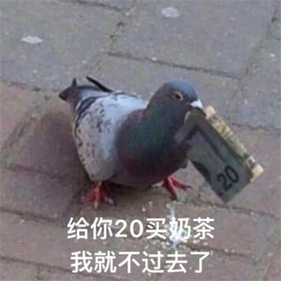 图片头像表情包