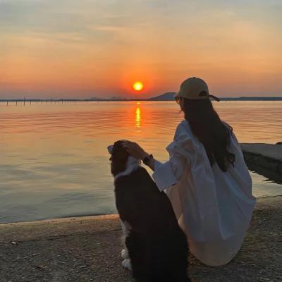 女生海边背影头像唯美 高清漂亮女人看海的背影图片头像