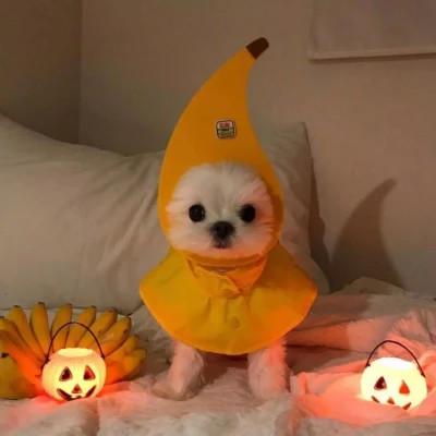 满级人类沙雕头像 搞怪沙雕中二的头像图片