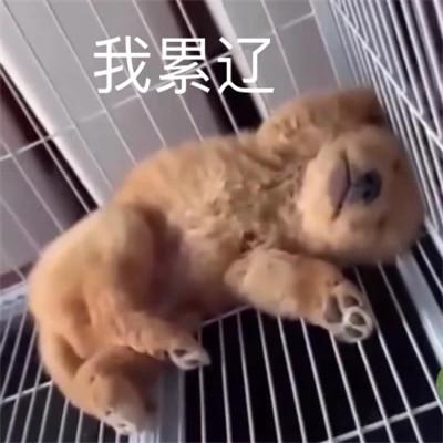 很搞笑的沙雕头像图 高清最近网上很火的沙雕头像